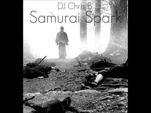 Samurai Spark (R3hab vs Sander Van Doorn vs Sandro Silva) DJ Chris B Mashup