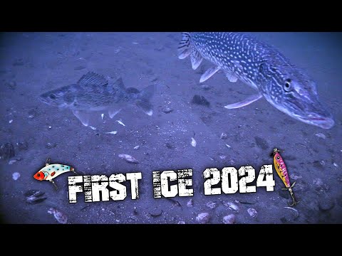 Early Ice Walleye Fishing 2024 (Underwater Footage)