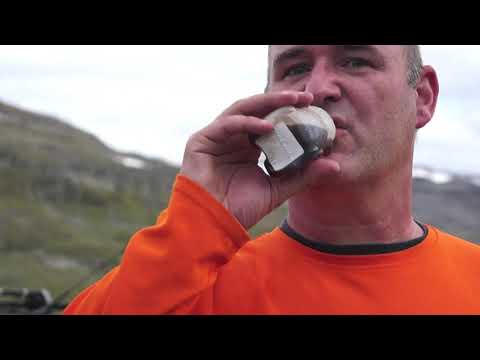 Bergtatt 1.0 2013 Store Smørstabbtinden Store Steindalsnosi