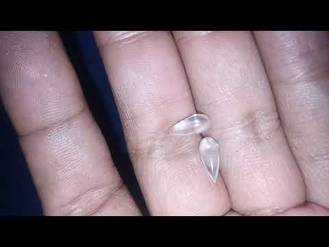 MUSTIKA AIR MATA DUYUNG