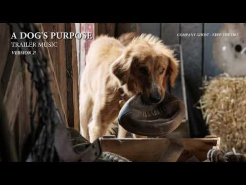 A Dog's Purpose - Trailer Music (Official Version)