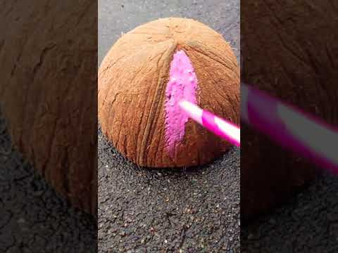 coconut shell DIY / incense stick holder / YouTube # short #