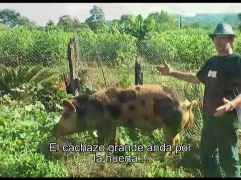 RP 2000 Links und rechts