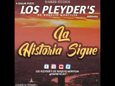 Mezclas Ligaditas Pleyder's