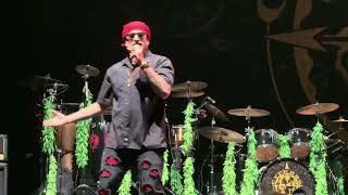 Stoned Is the Way of the Walk - Cypress Hill Live at Marymoor Park in Redmond, Washington 8/31/2025