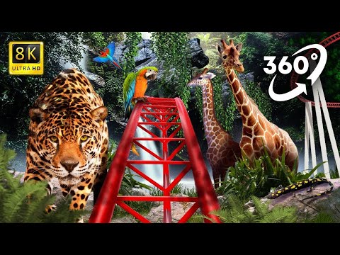 VR 360 VIDEO | WILD Animals watch from Roller Coaster ( Virtual Reality Experience )