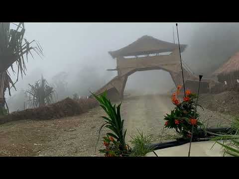 Rasta Po Wehh - Jiwaka(Jimi) Local Song