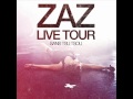 Zaz - Je saute partout (Live Tour 2011).wmv 