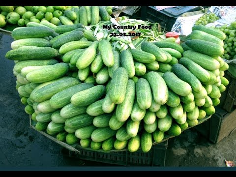 download lagu mp3 mp4 Indian Cucumber, download lagu Indian Cucumber gratis, unduh video klip Indian Cucumber