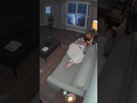 Cat Wakes Mom Seconds Before Flash-Flood Wave Smashes Into Home 🌊🐱 #CatSavesFamily #Shorts