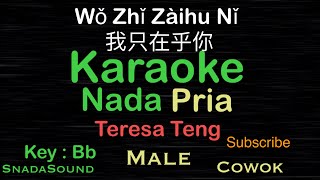 Download lagu Wo Zhi Zai Hu Ni -我只在乎你-Teresa Teng  邓丽君 Nada Pria-Male-Cowok-Laki-laki@UcokkuYasir mp3
