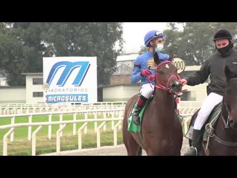 210725 c05 Producción Nacional