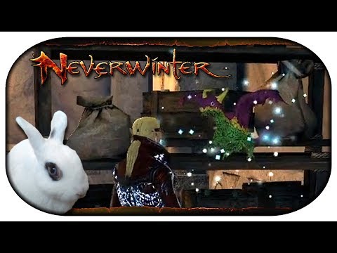 NEVERWINTER: Paladin-LP 🐇 121 - Das Große Übel