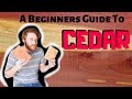 Beginners Guide To Wood Species What To Expect With Cedar
