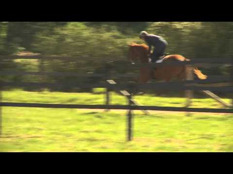 Lot 21 - Résilience - F13 Epalo /Ahyla