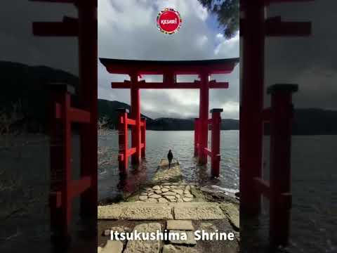 Japan Cherry Blossom | Kesari Tours | 2023