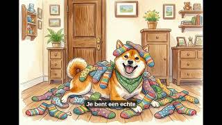 Video preview bij Hoofdstuk 3 — De sokkendief