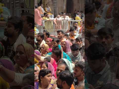 A Day In Vrindavan✨🌷💗#minivlog #premmandir #up #vrindavan #trip #youtubeshorts #viralvideo #mathura