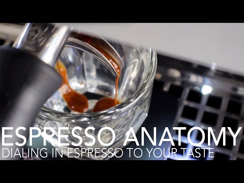 ESPRESSO ANATOMY - Dialing In Espresso To Your Taste