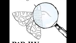 Birdwu - Poor Man's Lyric