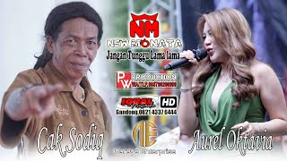 Download lagu don't wait too long - new monata - cak sodiq ft Aurel Oktavia - pw pro mp3