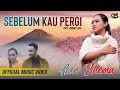 Sebelum Kau Pergi Aan Shema Official Music Video