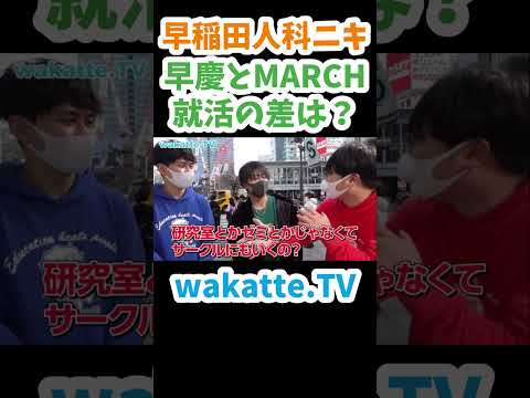 【早慶とMARCHの違い】早稲田人科ニキに聞いてみた【wakatte.TV切り抜き】#wakattetv #早慶 #就職活動 #早稲田大学 #march