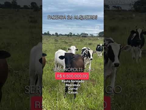 26 Alqueires em Serranópolis GO | whatsapp 62 99373-6407