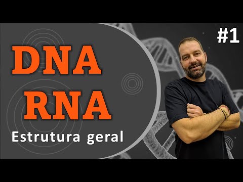 DNA e RNA - Ácidos nucleicos
