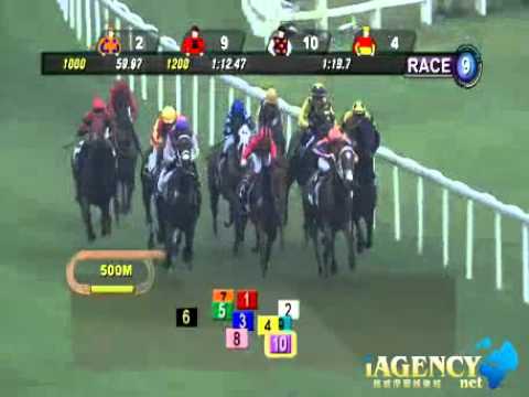 SINGAPORE RACE 27/10/2013 RACE 9 - iAgencyNet.com