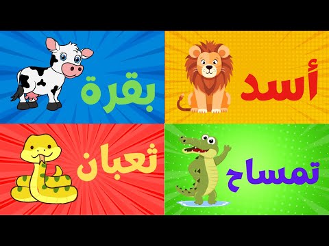Learn Arabic Alphabet with animals 4 kids   تعليم الحروف الهجائية العربية مع أسماء الحيوانات للأطفال