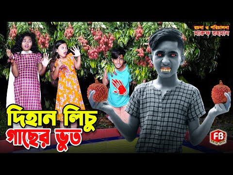 দিহান লিচু গাছের ভুত | Dihan lichu gacher bhoot | dihan | bihan | dihan new natok | Film Box