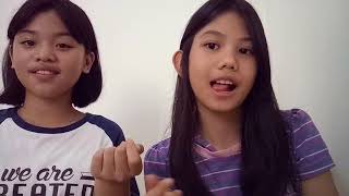 Back To You || Louise Tomlinson ft. Bebe Rexha || Cover by Mitzy and Shannon