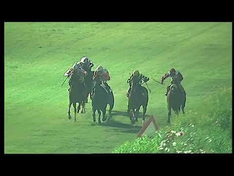 Napoli Galoppo 18/08/2021 - 6ª corsa