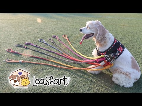 Leashart.com The best hand made Rope Dog Leashes