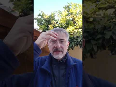 Evangelio del Nuestro Señor Jesucristo Con el Padre Fabian Esteban Oliva. 23/05/26