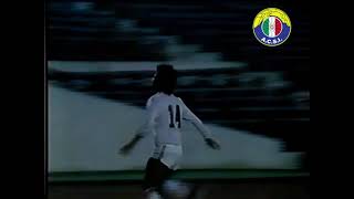 Gol de Hernán Castro a Everton | Copa Chile 1983