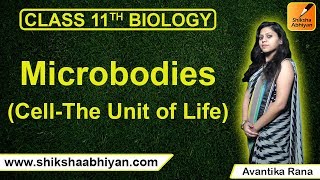 Microbodies-#CBSE Class 11 Biology