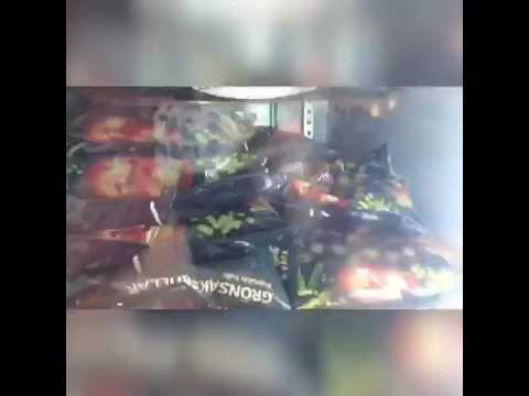 download lagu mp3 mp4 Frozen Lingonberries Whole Foods, download lagu Frozen Lingonberries Whole Foods gratis, unduh video klip Frozen Lingonberries Whole Foods