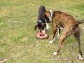 Trudy Zoe Play Run