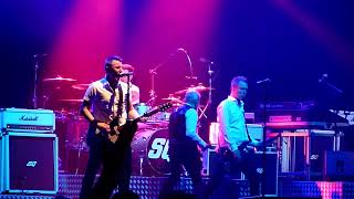 Status Quo Little Lady 2022