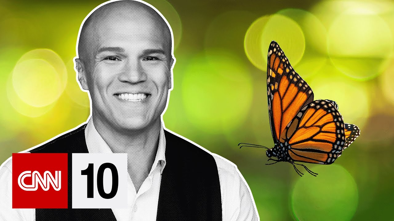 The tiny tech revolutionizing what we know about butterflies | January 28, 2026