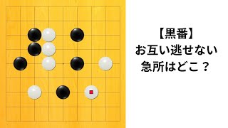 【9路】急所はどこ？｜囲碁クエスト実況解説｜黒番｜高目