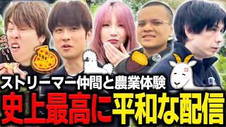 ストリーマー仲間との農業配信が平和すぎて癒されるマスオ【マスオ/あっさりしょこ/Euriece/yunocy/蛇足/農業体験配信】