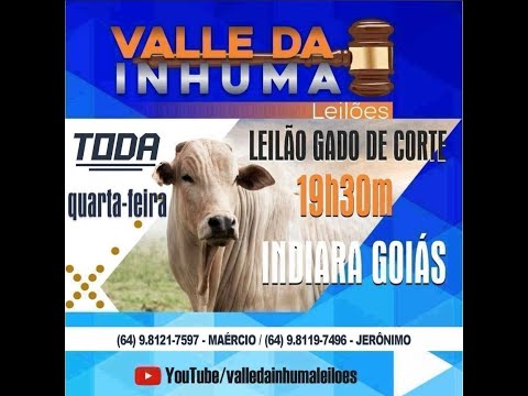 INDIARA - GO  03/12/2025