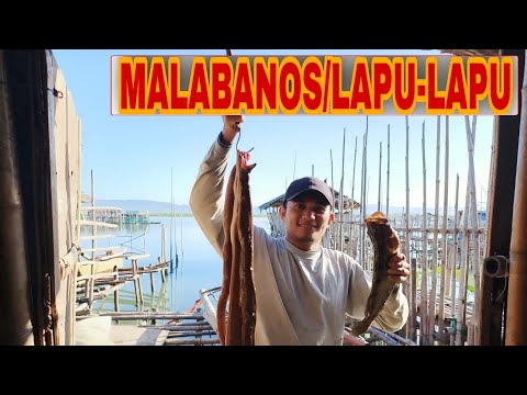 PART-1 Ang Daming huli na Malabanos at Lapu-Lapu sa Kitang Fishing Occi. Mindoro, County Side - EP34