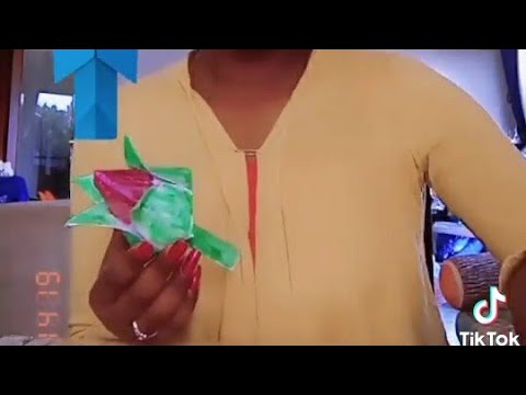 paper crafts flowers (hababoo) 🌷🌷