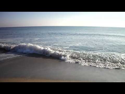 Summer Waves in Chornomorsk 2020