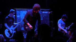 The Color Morale -  Human(s) Being