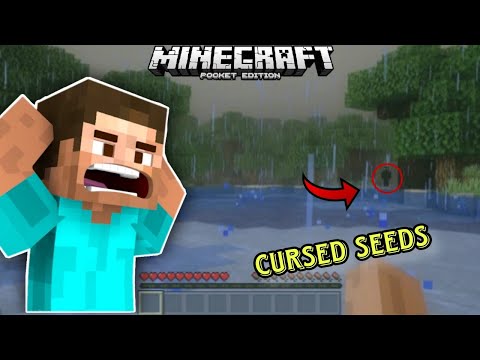 Not AN Gamerz - Top 3 Scary Cursed Seed in Minecraft 2023 😱😱